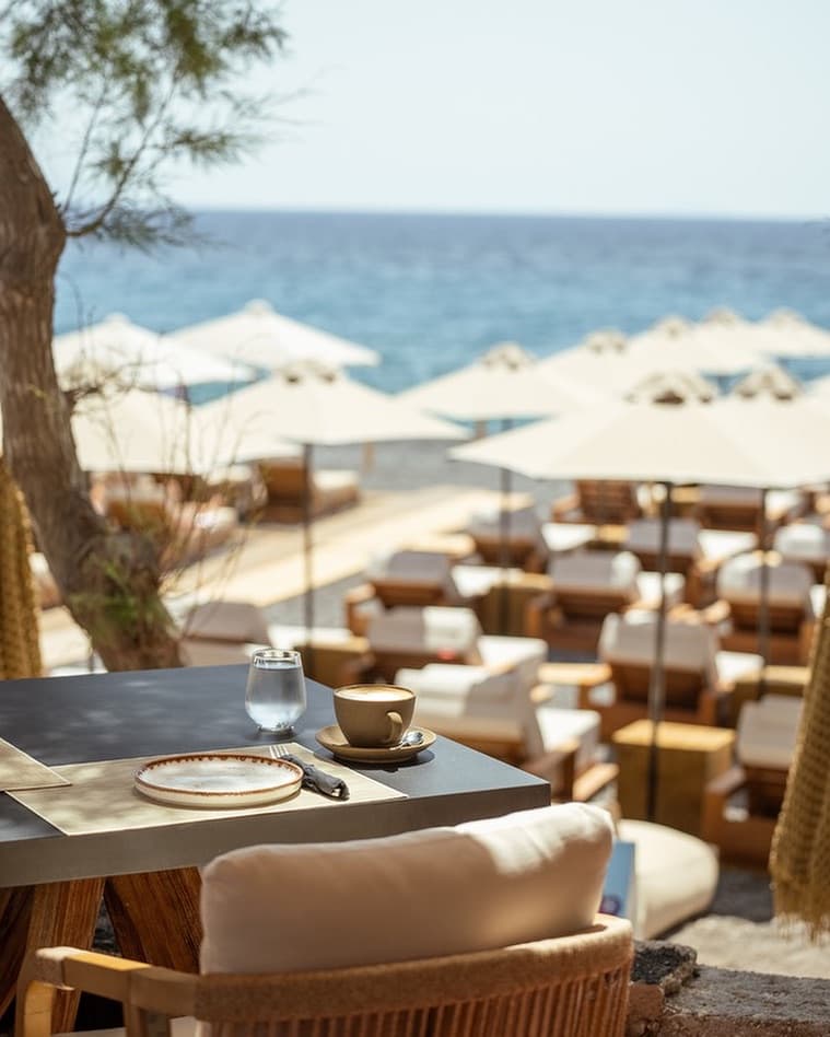 Morning on the Terrace
