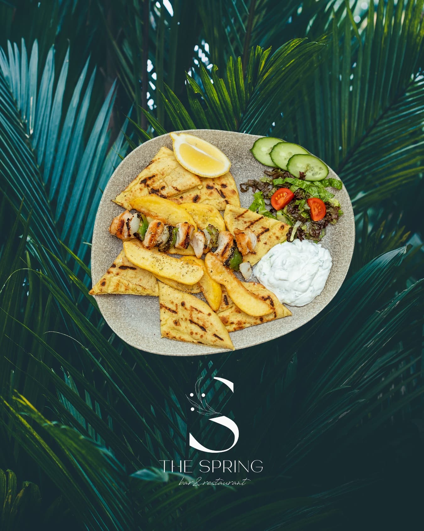Chicken Souvlaki, Plated