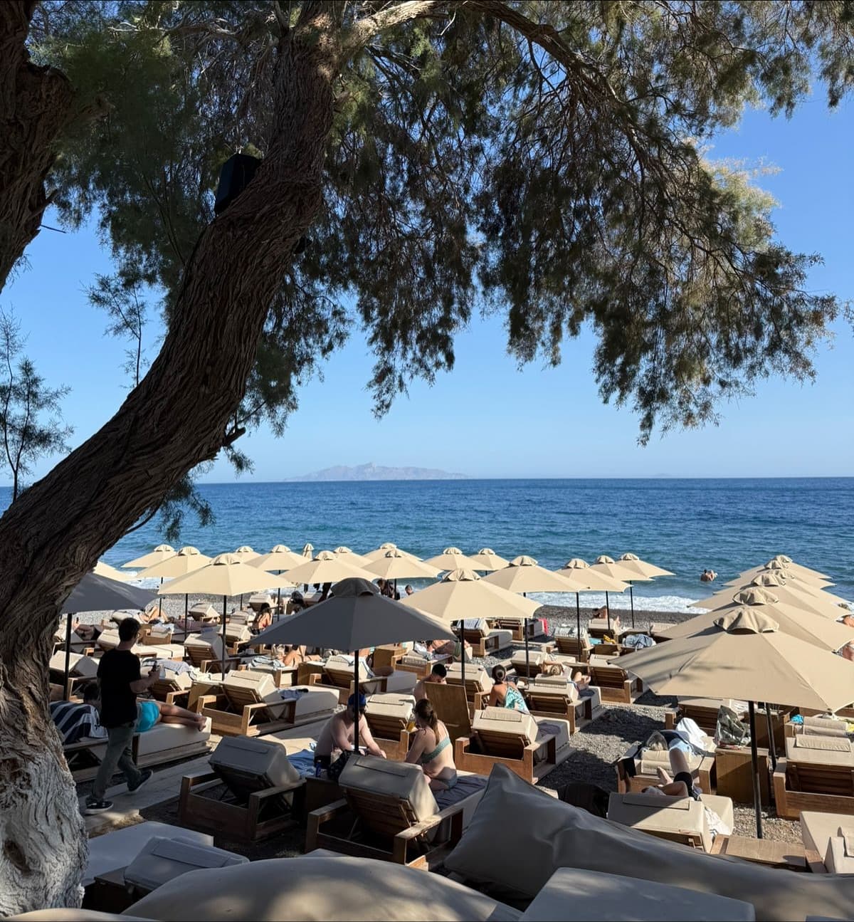 Beach Club, Midday