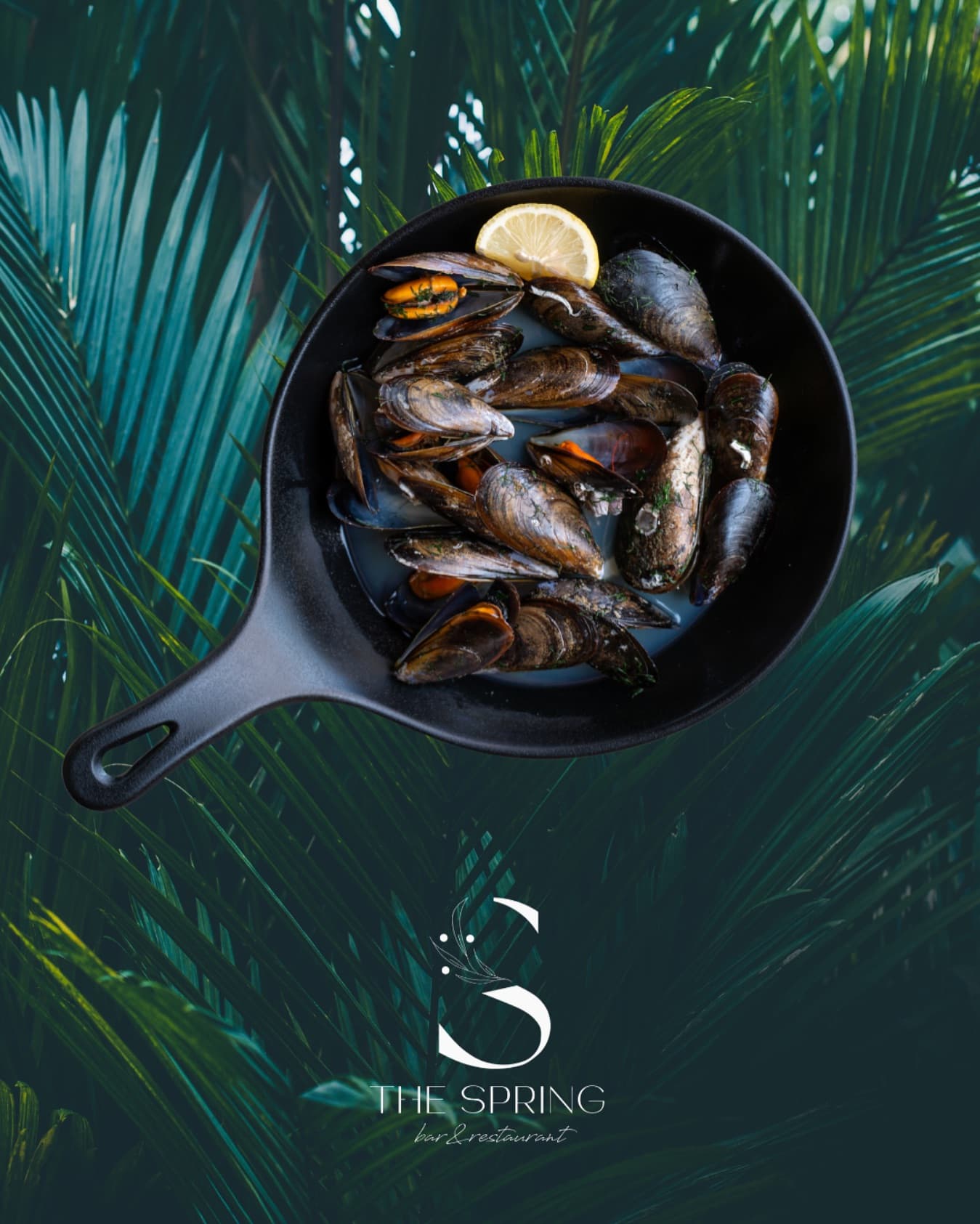 Aegean Steamed Mussels