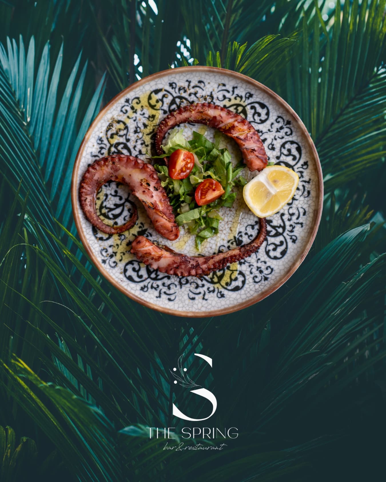 Charcoal-Grilled Octopus